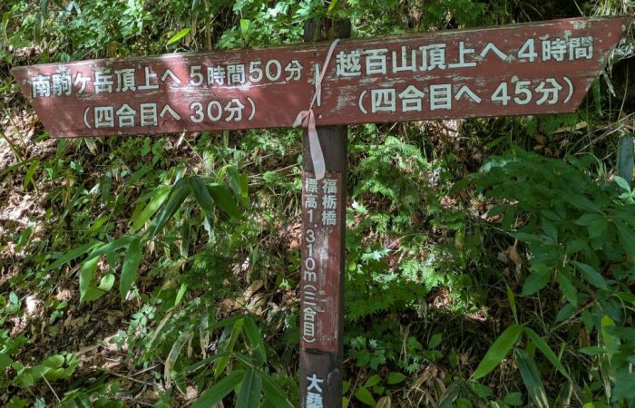 PXL_20250718_065725352-1_SMALL