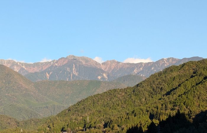 PXL_20251028_071516051-1